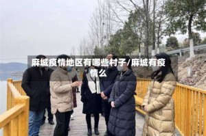 麻城疫情地区有哪些村子/麻城有疫情么