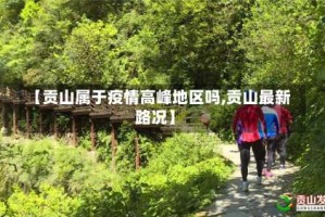 【贡山属于疫情高峰地区吗,贡山最新路况】