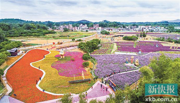 从化现在什么地区有疫情.广州从化市有疫情吗?-第1张图片