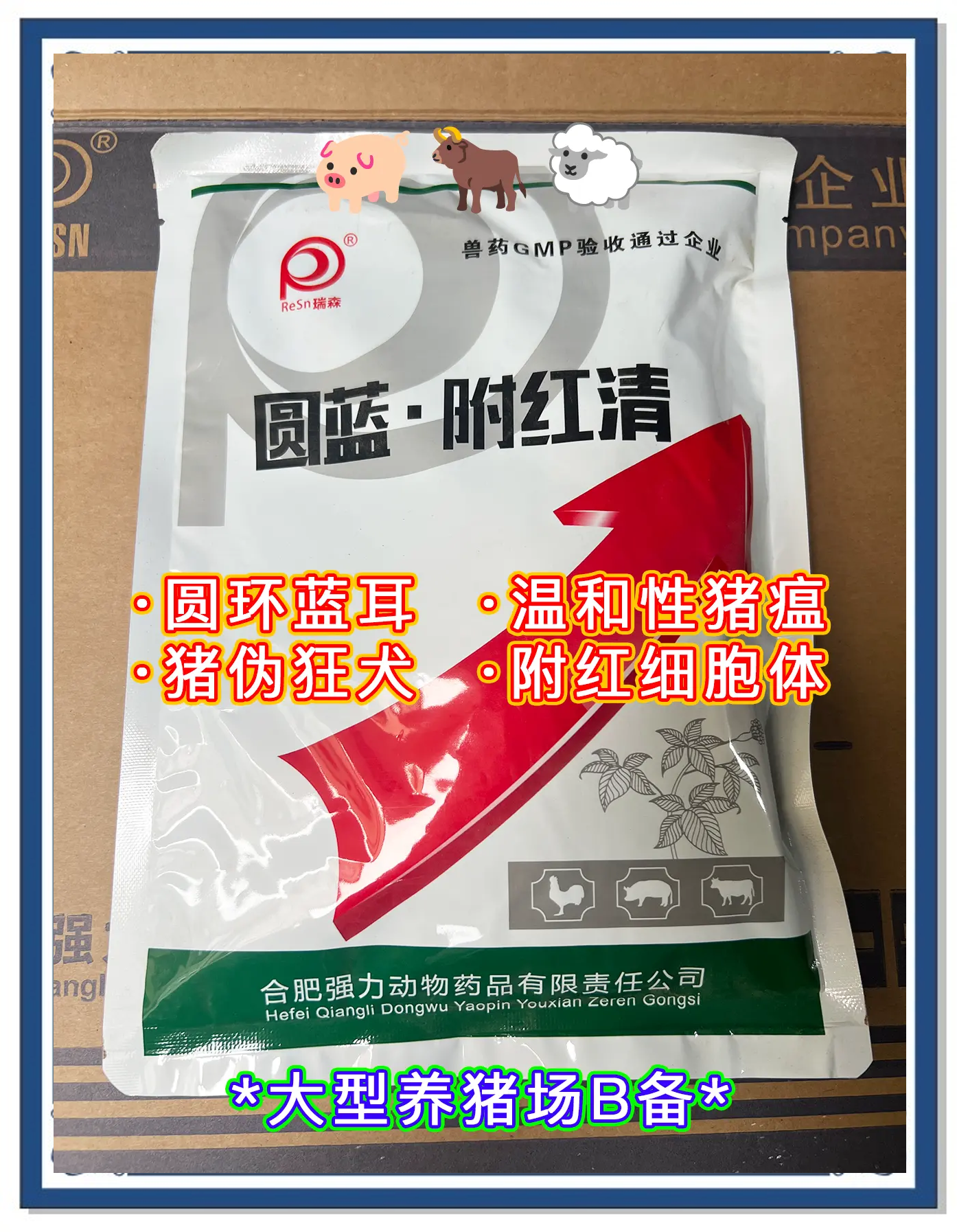 哪个地区出现猪瘟疫情(哪里的猪瘟最严重)-第2张图片