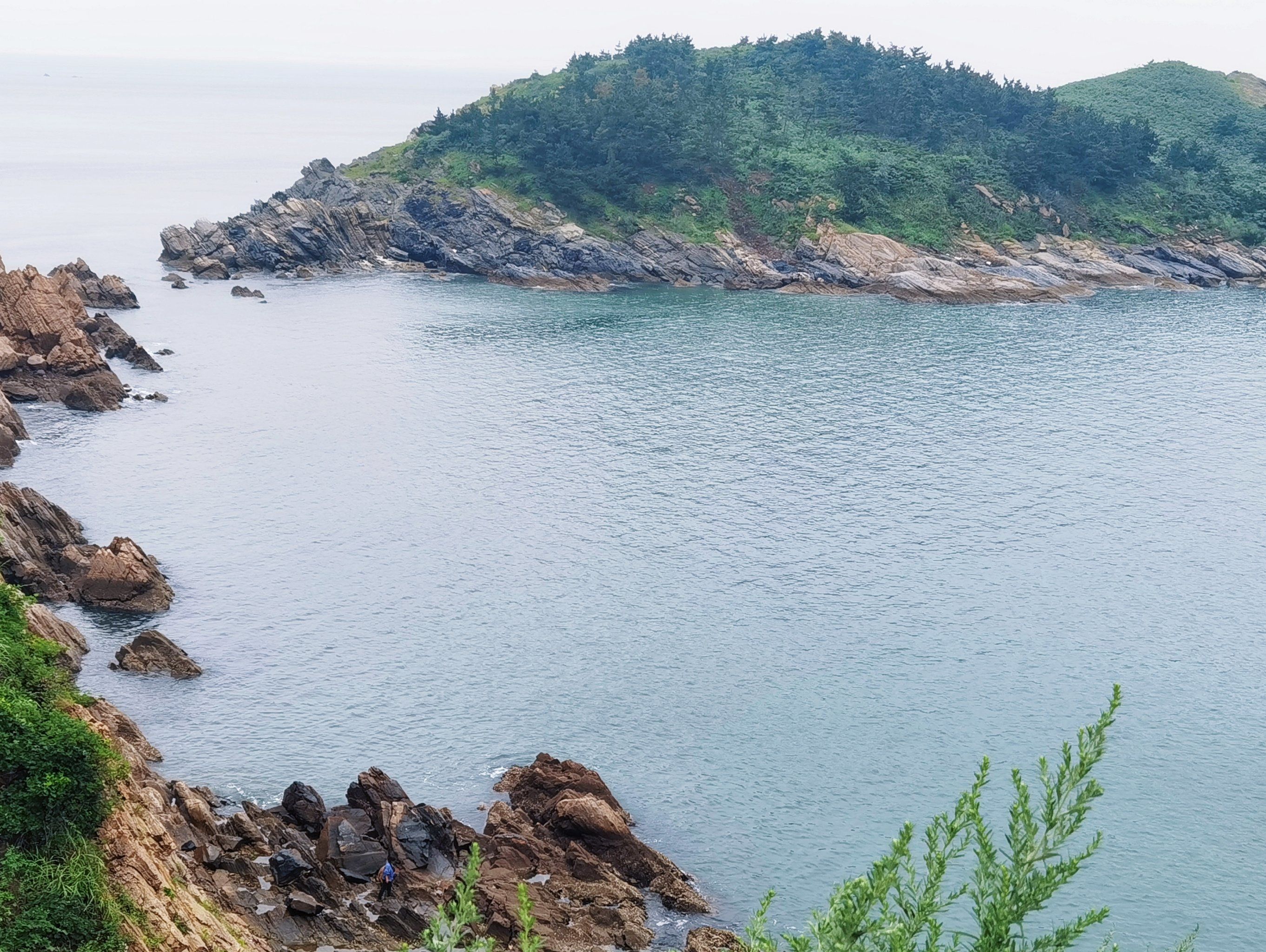 【威海是疫情地区吗最新,威海现在属于疫情高发地区吗】-第1张图片