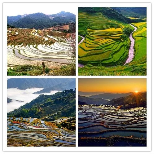 玉溪哪些地区有疫情了.玉溪是疫情严重的地方吗??-第1张图片