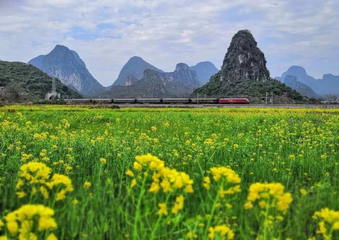 桂林是疫情重点地区吗(桂林属于疫区吗)-第2张图片