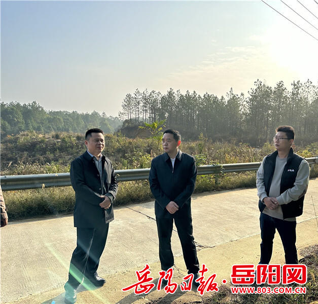 岳阳是否疫情爆发地区呢/岳阳是否划为疫区-第3张图片