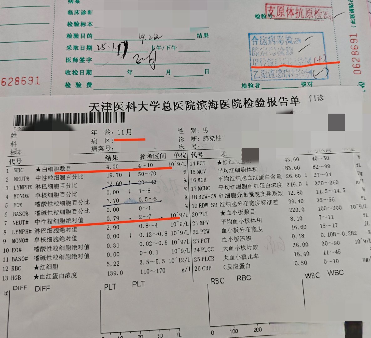 中岛什么地区有疫情病例(中岛是哪个国家)-第2张图片