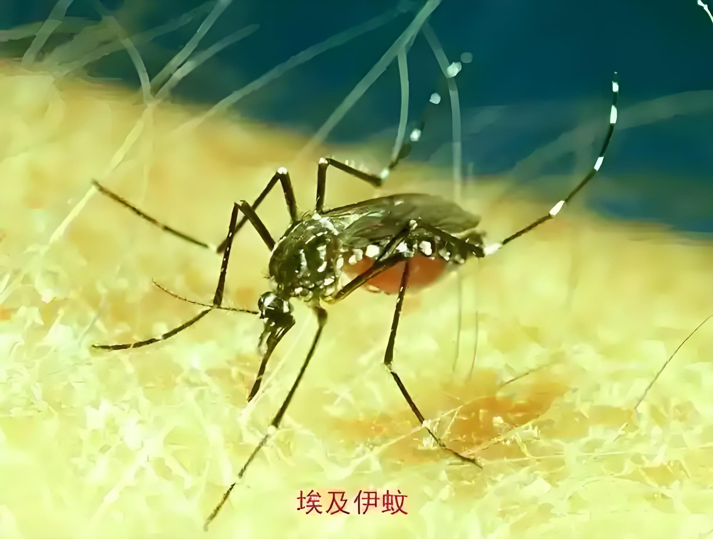 佛山地区疫情危险吗.佛山疫情稳定了吗?-第2张图片