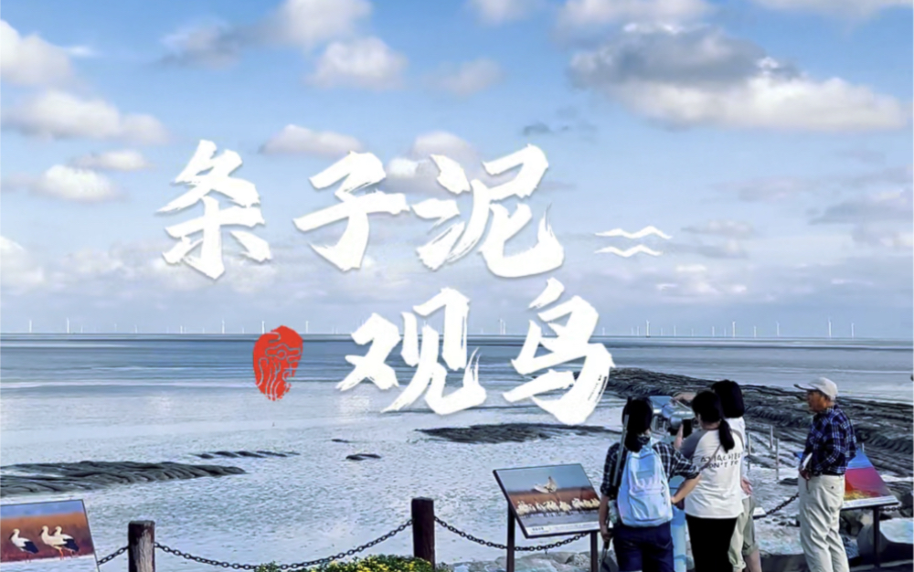 【江苏条子泥湿地地区疫情,对口升学是否职高】-第1张图片