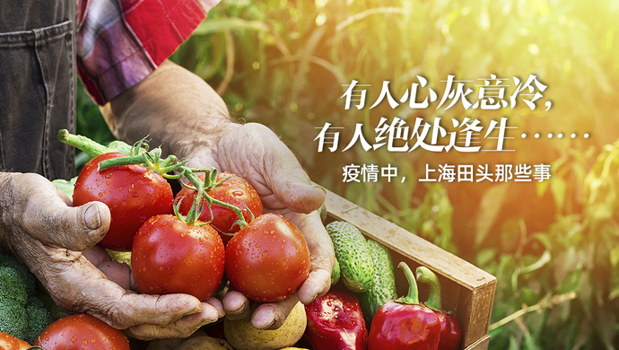 上海疫情解除地区有哪些.上海疫情期解除到几号结束?-第2张图片