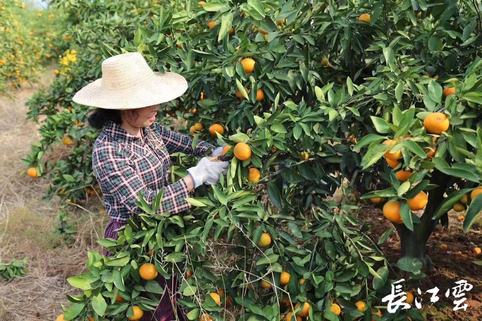 荆门地区疫情常态化管理(荆门地区疫情常态化管理政策)-第1张图片