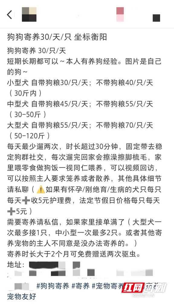 【疫情地区带宠物去外地,疫情带宠物回国规定】-第1张图片