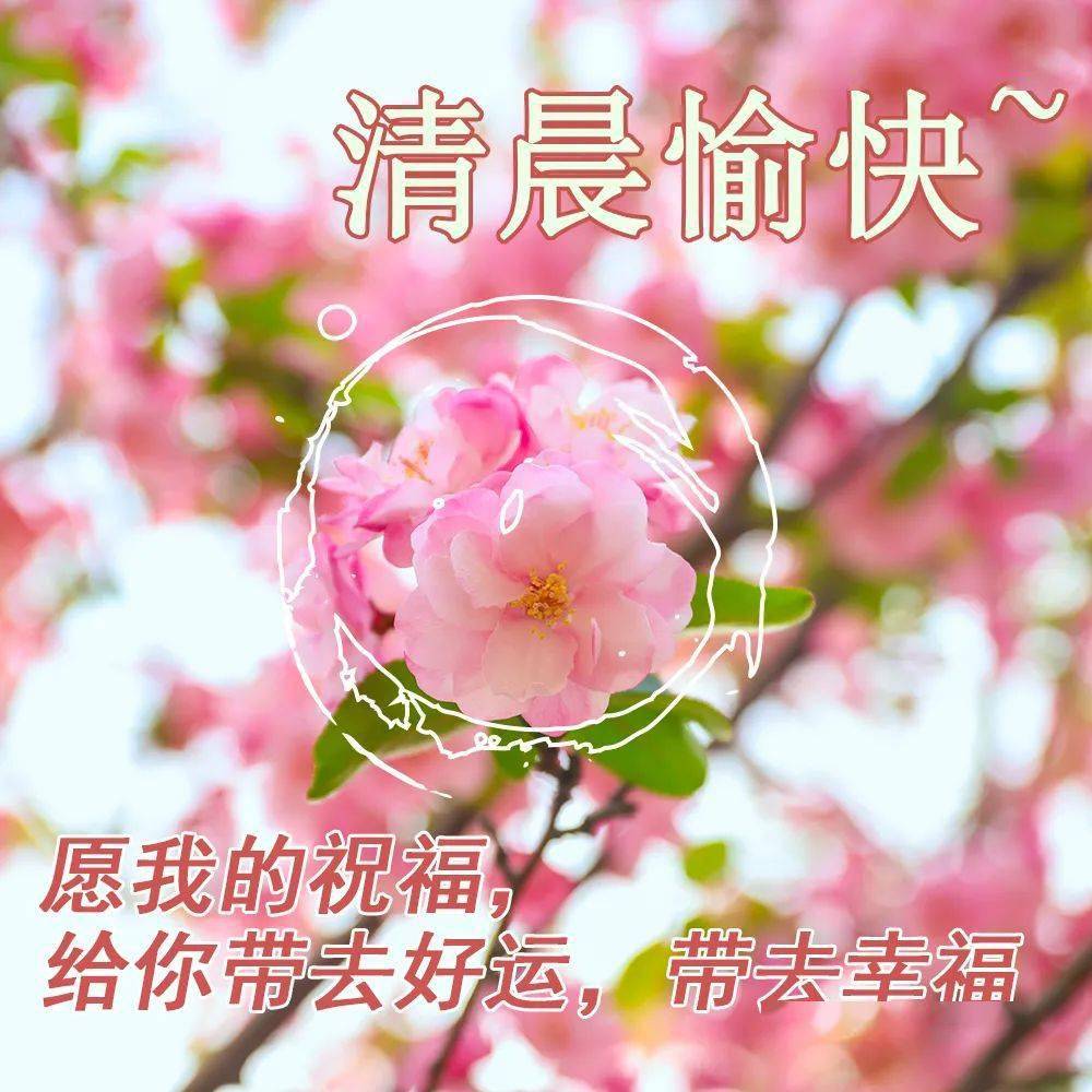 【对疫情地区朋友的问候,对疫情地区朋友的问候语怎么说】-第2张图片