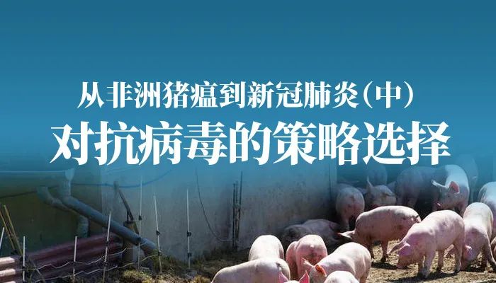 【成都地区的猪瘟疫情,成都地区的猪瘟疫情怎么样】-第2张图片
