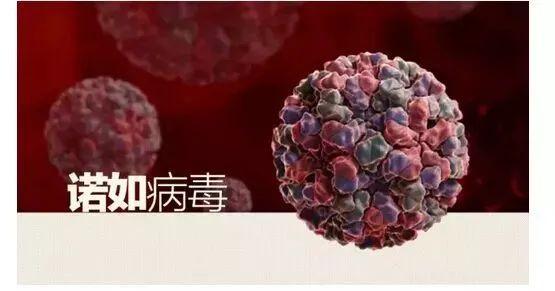 桂林地区最新疫情消息(广西桂林市区疫情)-第1张图片