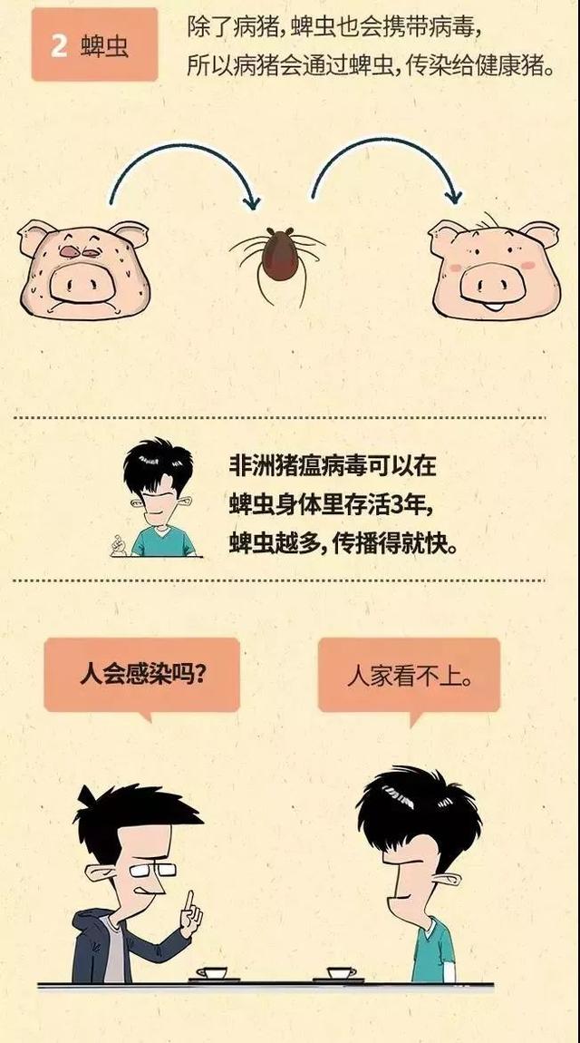 辽宁哪些地区有非洲疫情(辽宁哪些地区有非洲疫情发生)-第1张图片