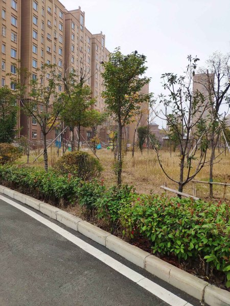 泉城花都地区有疫情吗.泉城花都二手房?-第1张图片