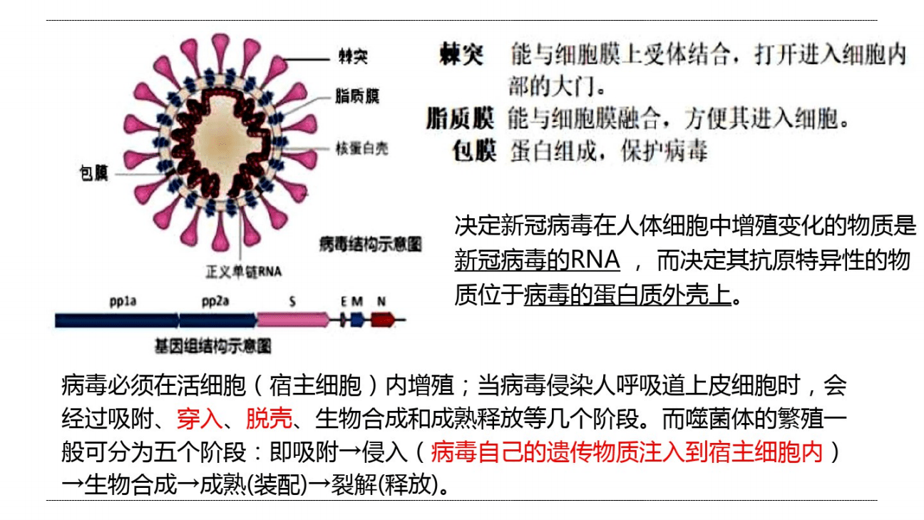 疫情中高险地区包括哪些.疫情中高险地区包括哪些地方?-第1张图片
