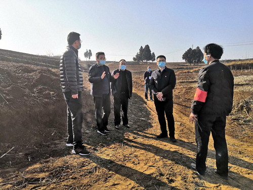 【嵩县疫情地区划分最新,嵩县役情】-第2张图片