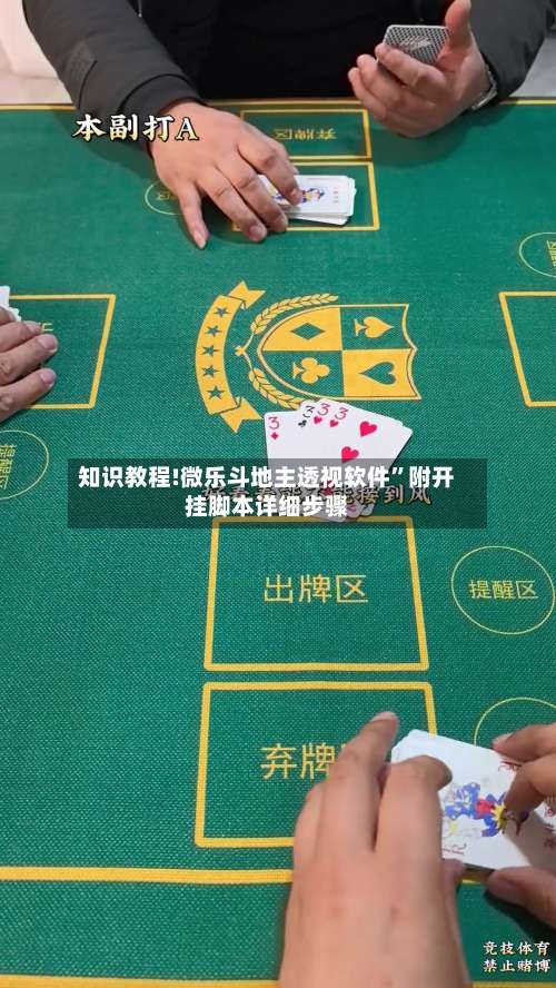 知识教程!微乐斗地主透视软件	”附开挂脚本详细步骤-第2张图片