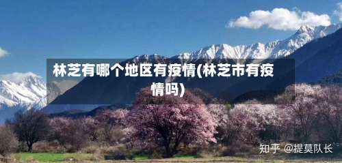 林芝有哪个地区有疫情(林芝市有疫情吗)-第1张图片