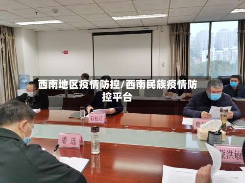 西南地区疫情防控/西南民族疫情防控平台-第3张图片