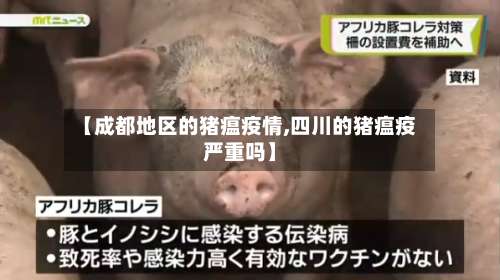 【成都地区的猪瘟疫情,四川的猪瘟疫严重吗】-第1张图片